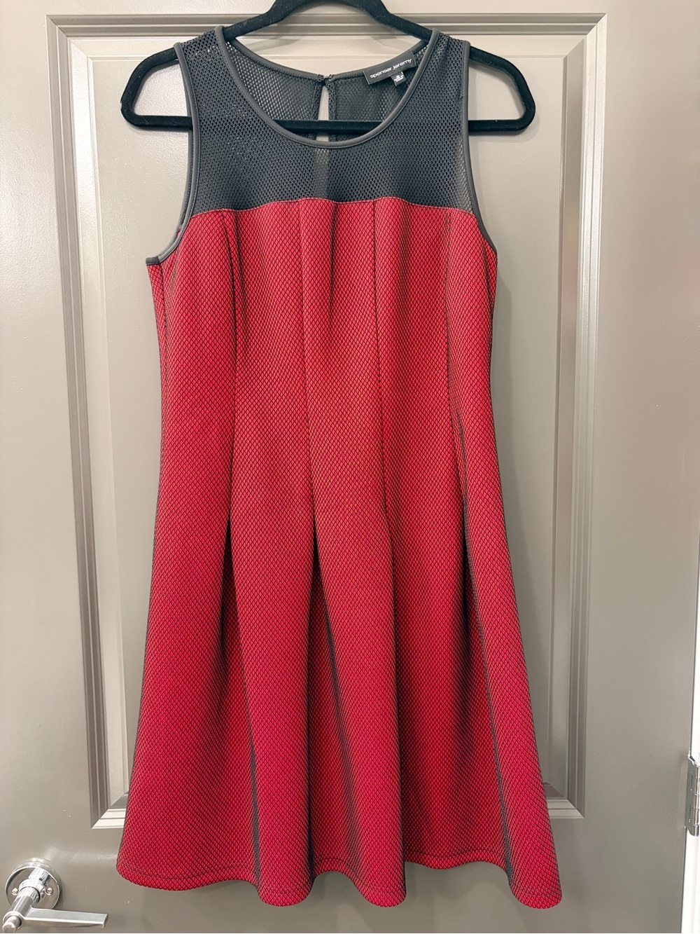 Spenser Jeremy Red and Black Sleeveless A-Line Dress